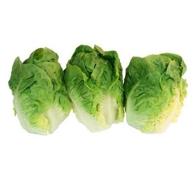 Cœur de Sucrine x3 Cœur de Sucrine x3