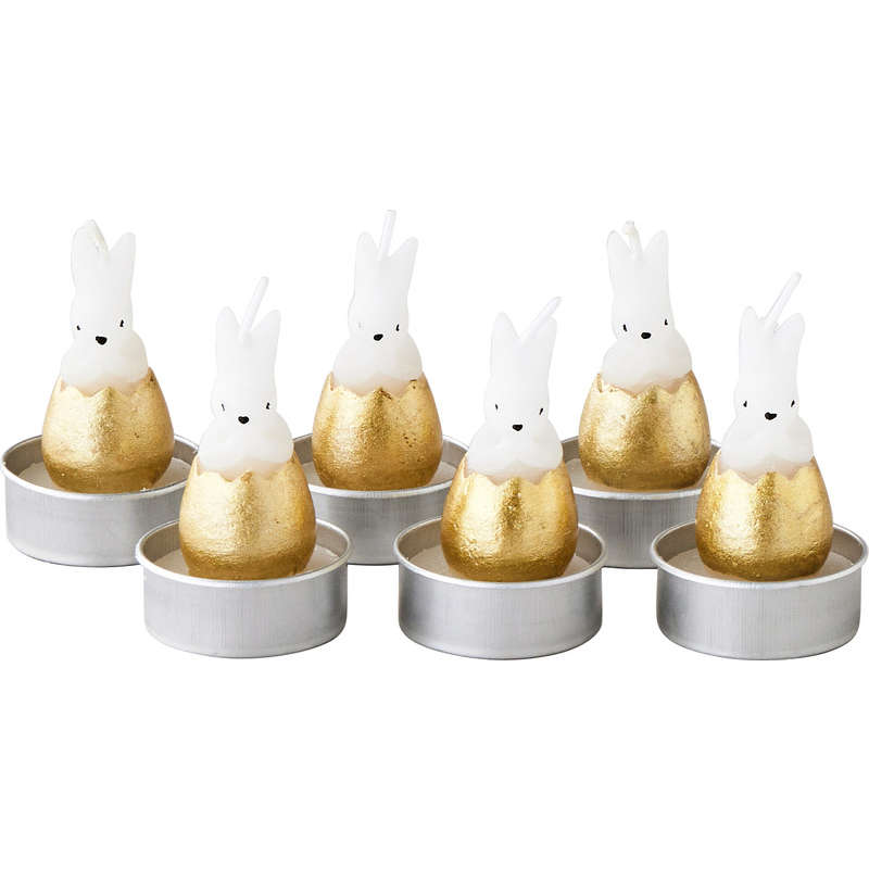 Bts 6T lapin oeuf 750 Bts 6T lapin oeuf 750