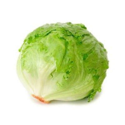 Salade Iceberg Salade Iceberg