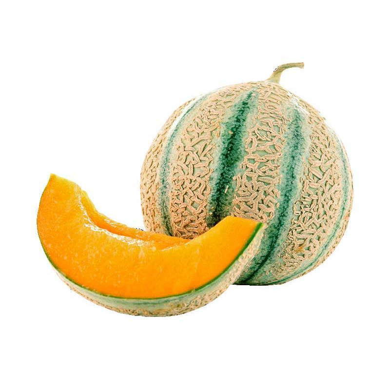 Melon Charentais