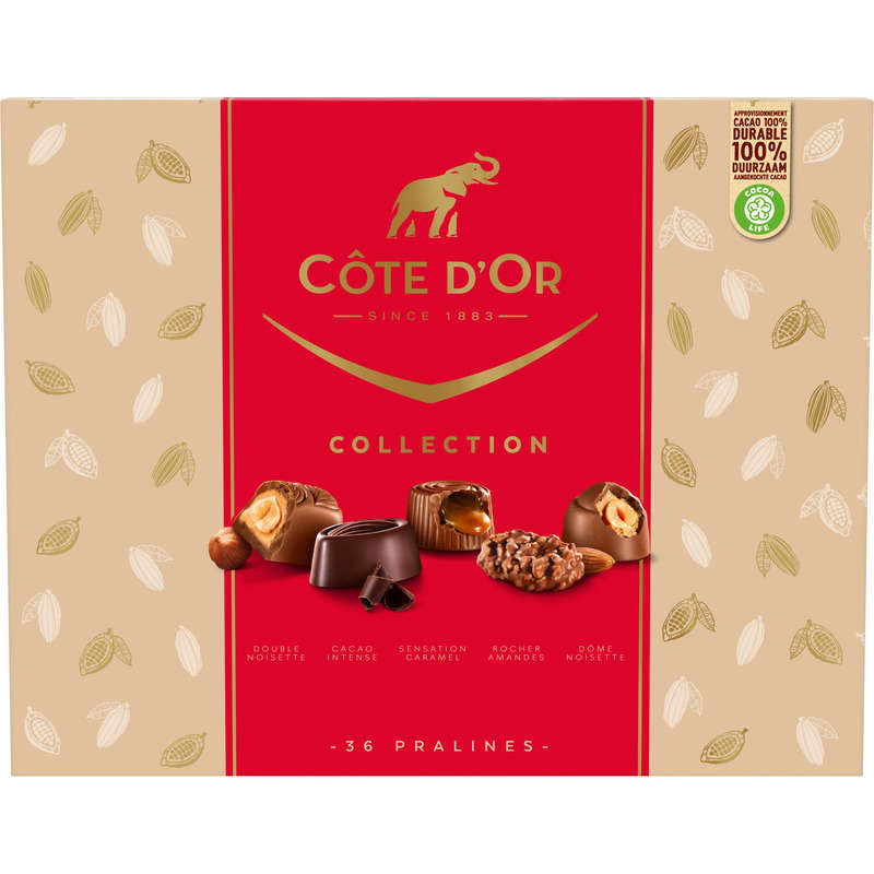 Côte d'Or collection assortiment 36 pralines 345g