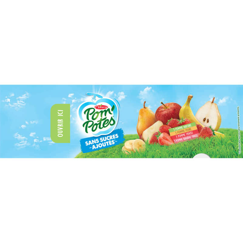 Pom'Potes Pomme/Pomme Poire/Pomme Fraise/Pomme Banane Fraise 12x90g
