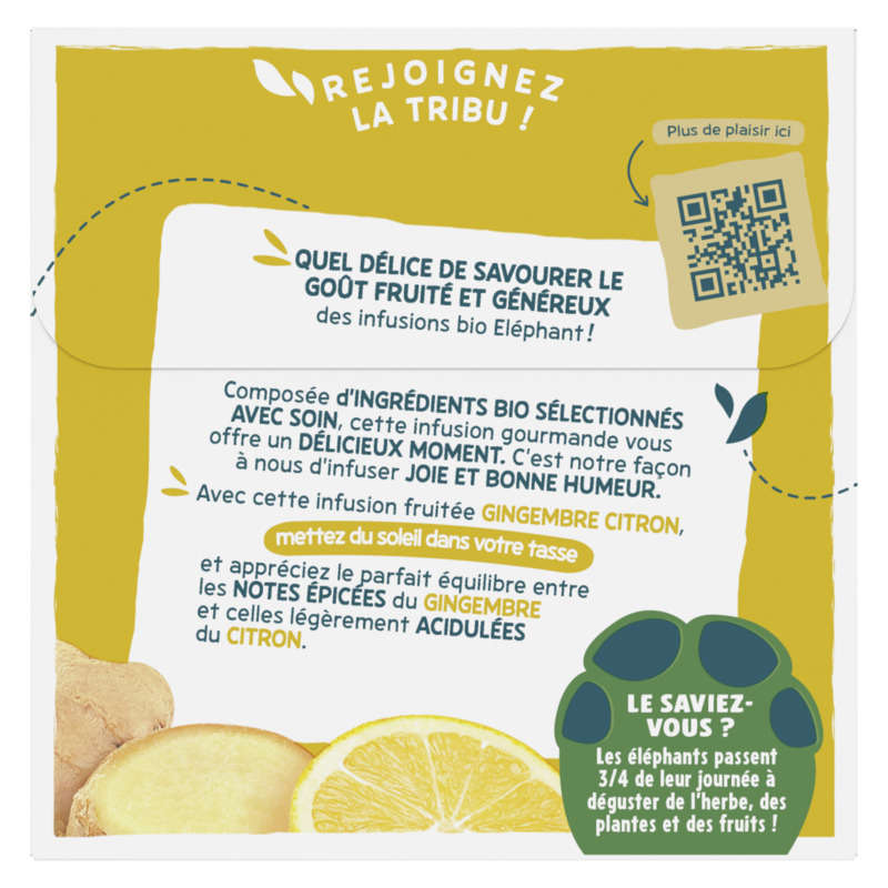 Elephant Mon Infusion Gingembre Citron 20 Sachets Bio 34g