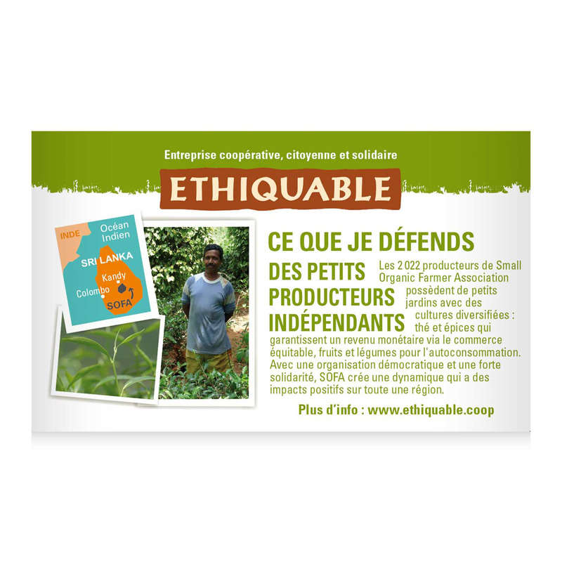 Ethiquable Thé Vert Gingembre Citron Vert Bio 36g