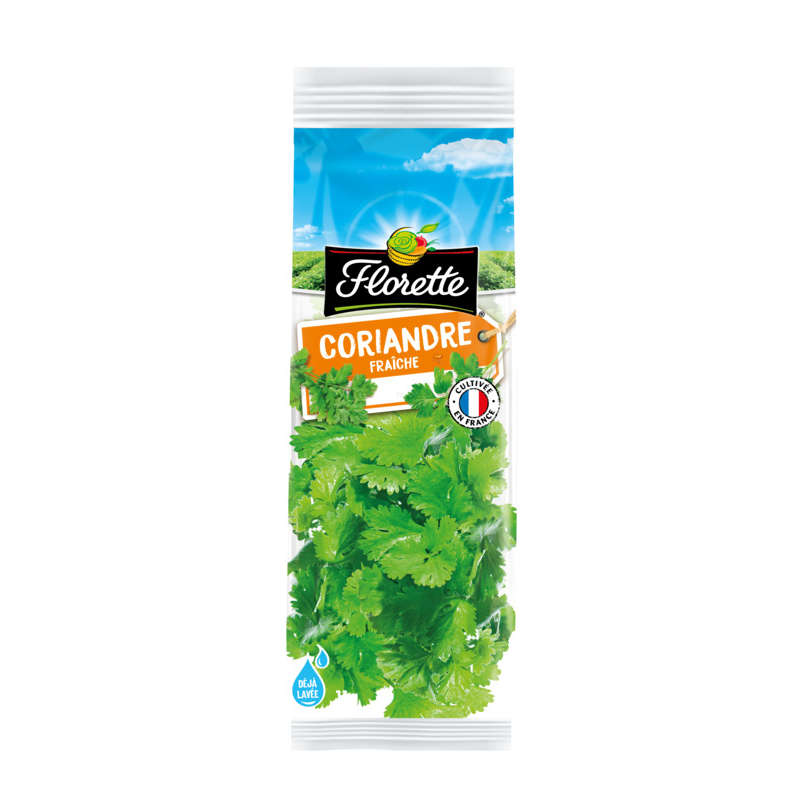 Florette coriandre 11g