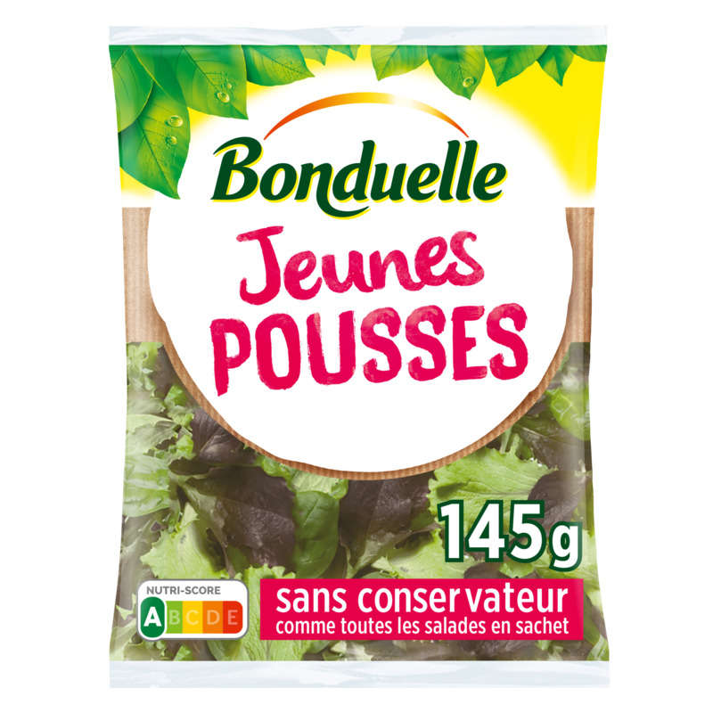 Bonduelle jeunes pousses de batavia laitue rouge et laitue verte 145g