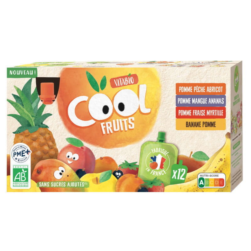 Vitabio Cool Fruits Panaché 4 recettes Bio 12*90g