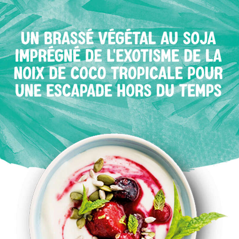 Alpro Dessert Végétal Soja Nature Noix De Coco 500g