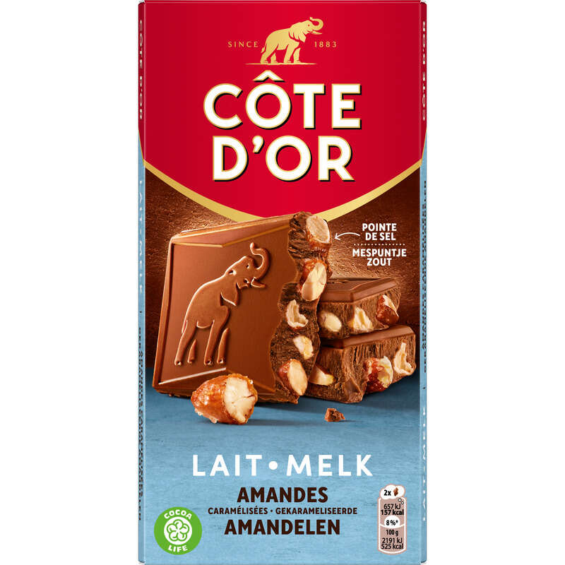 Côte D'Or Tablette Chocolat Lait Pointe De Sel Et Amandes 180g