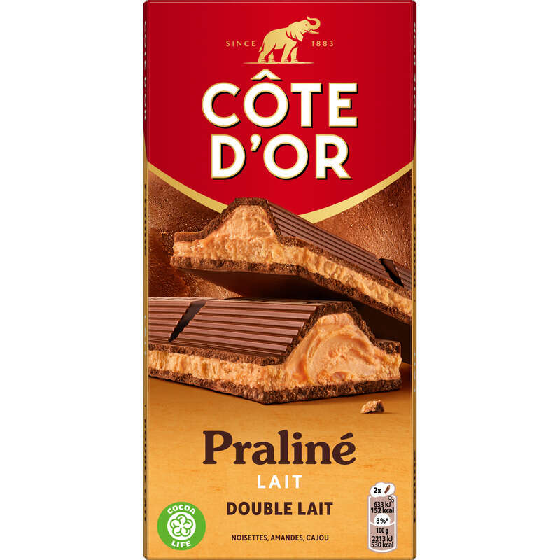 Côte D'Or Tablette Chocolat Au Lait Praliné Double Lait 200g