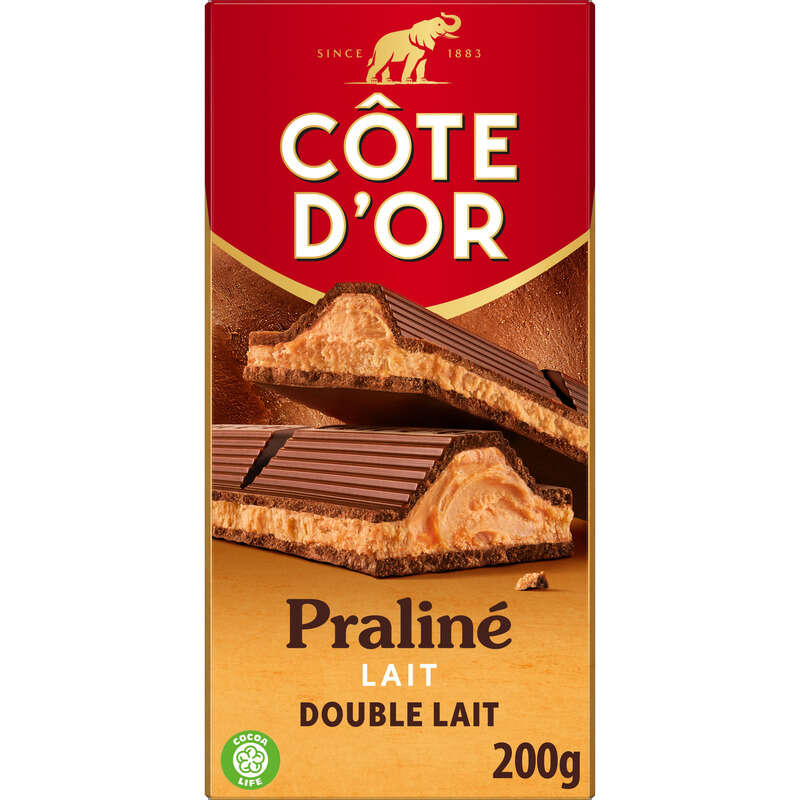 Côte D'Or Tablette Chocolat Au Lait Praliné Double Lait 200g