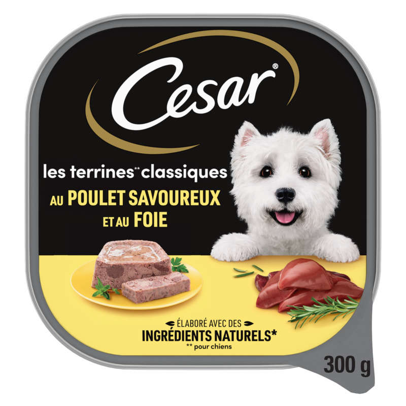 Cesar Barquette poulet en terrine pour chien 300g