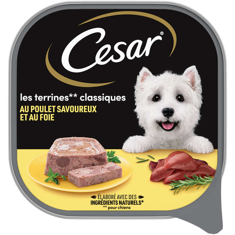 Cesar Barquette poulet en terrine pour chien 300g