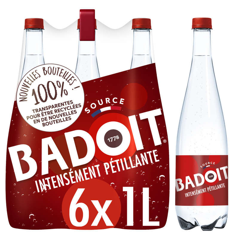 Badoit eau minérale naturelle fortement gazeuse 6x1L