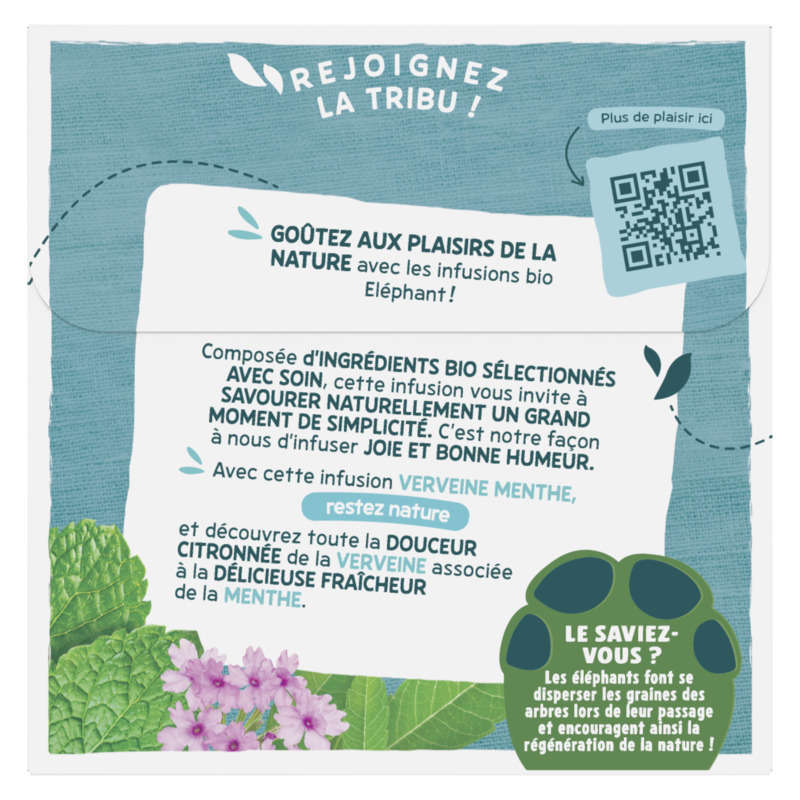 Elephant Infusion Bio Verveine Menthe x20